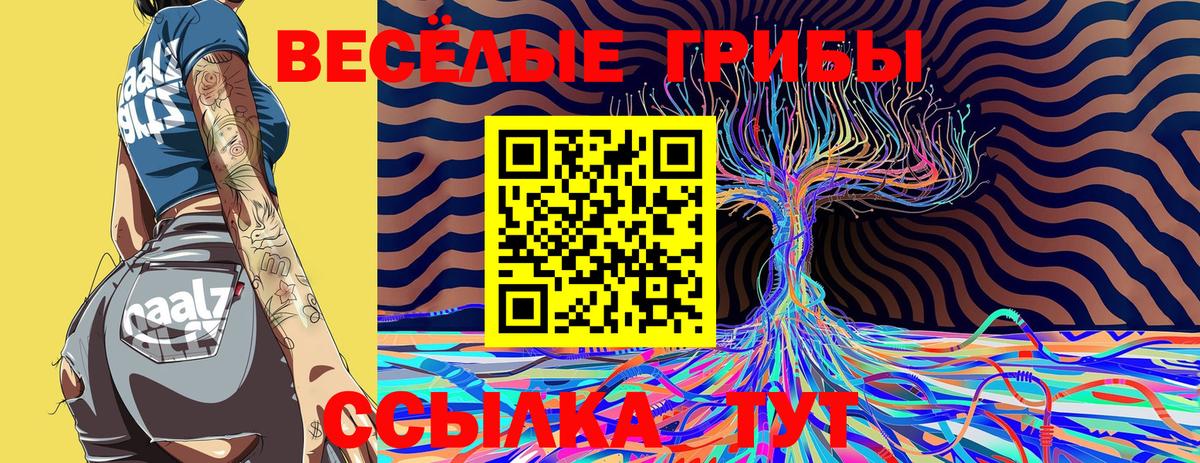 Псилоцибиновые грибы MAGIC MUSHROOMS Железногорск