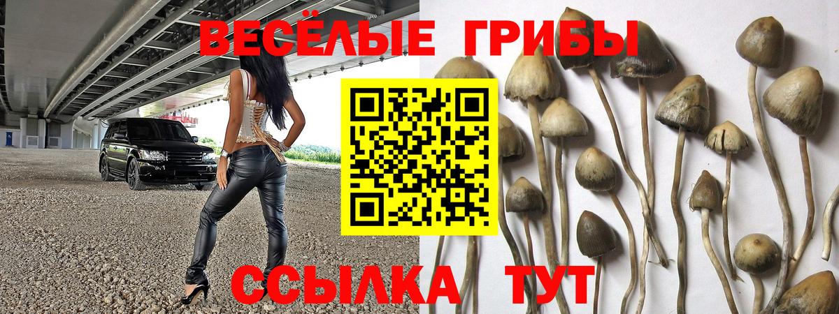 Псилоцибиновые грибы ЛСД  Псилоцибиновые грибы прущие грибы  Вход с VPN  как найти наркотики  Железногорск 